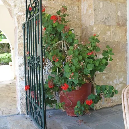 Marlina Holiday home